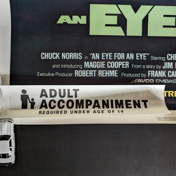 Chuck Norris Movie Poster - Picture 5 of 11